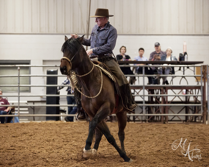 Buck Brannaman copyright Monica Adams Photography