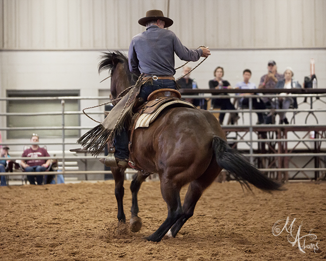 Buck Brannaman copyright Monica Adams Photography