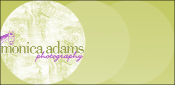 Monica Adams Photography